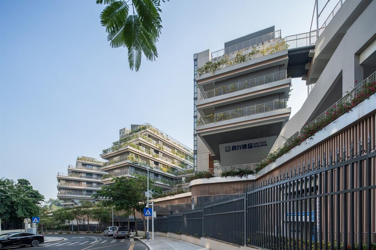 “上山”校园：深圳福田实验教育集团侨香学校·北校区 / 申都设计