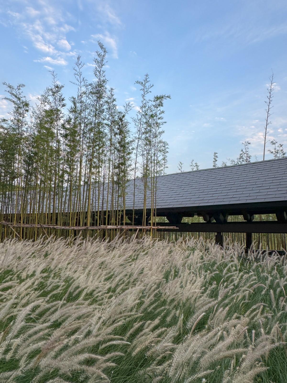 “龙脊”- 地中海黑龙滩度假酒店  / AIM ARCHITECTURE
