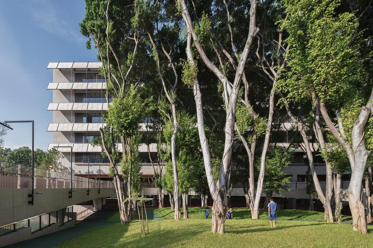 深圳荔园外国语小学 / 直向建筑