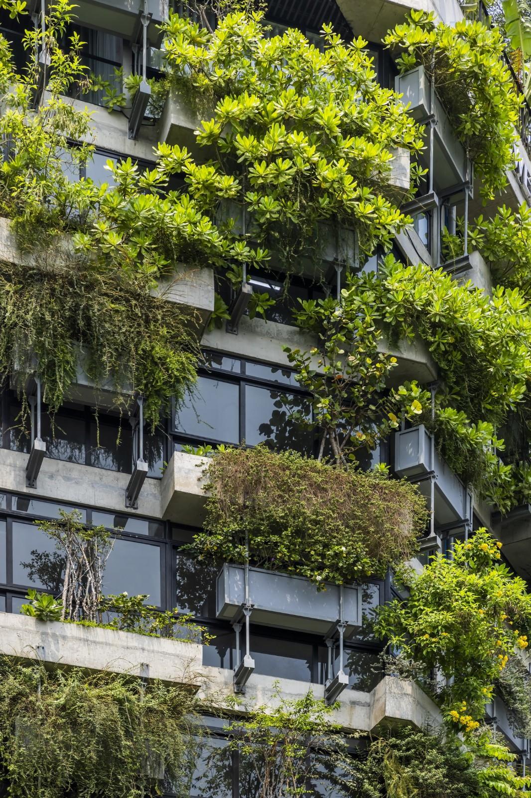 AEC 4B 外语教育中心 / Ho Khue Architects