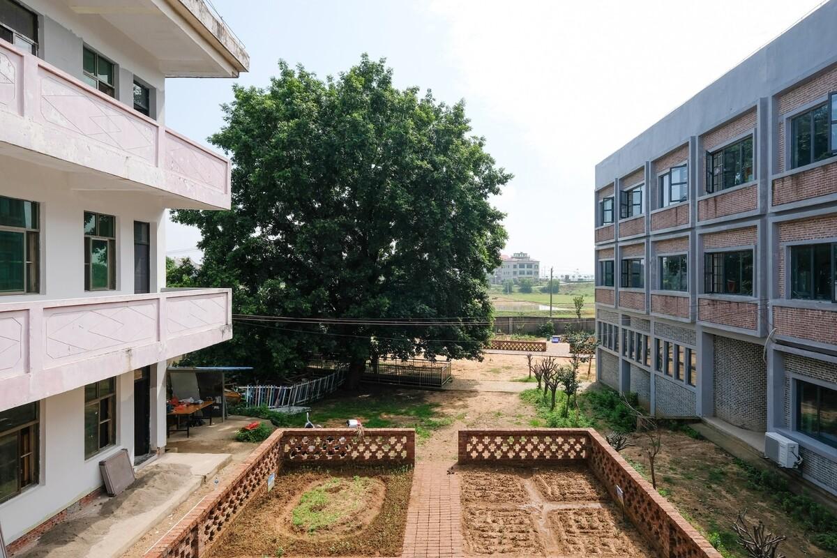 沿江乡村学校 / DOMAT