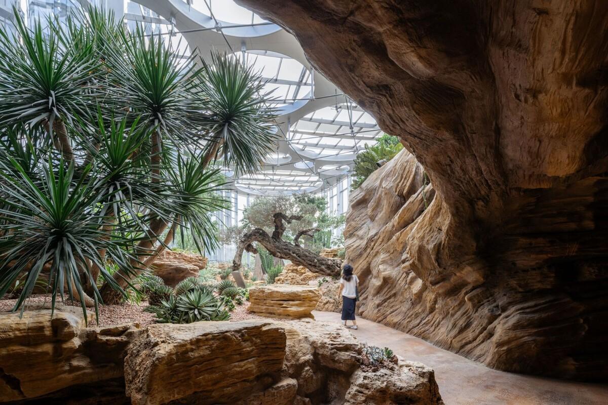 上海版“疯狂植物园”，亚洲最大温室花园 / Delugan Meissl Associated Architects
