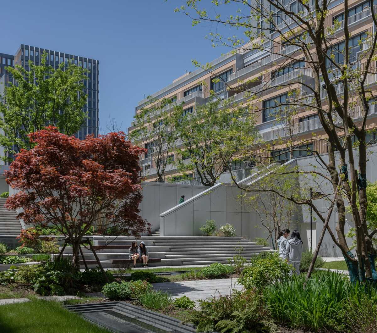 上海金鼎平和学校 / c+d Design Center