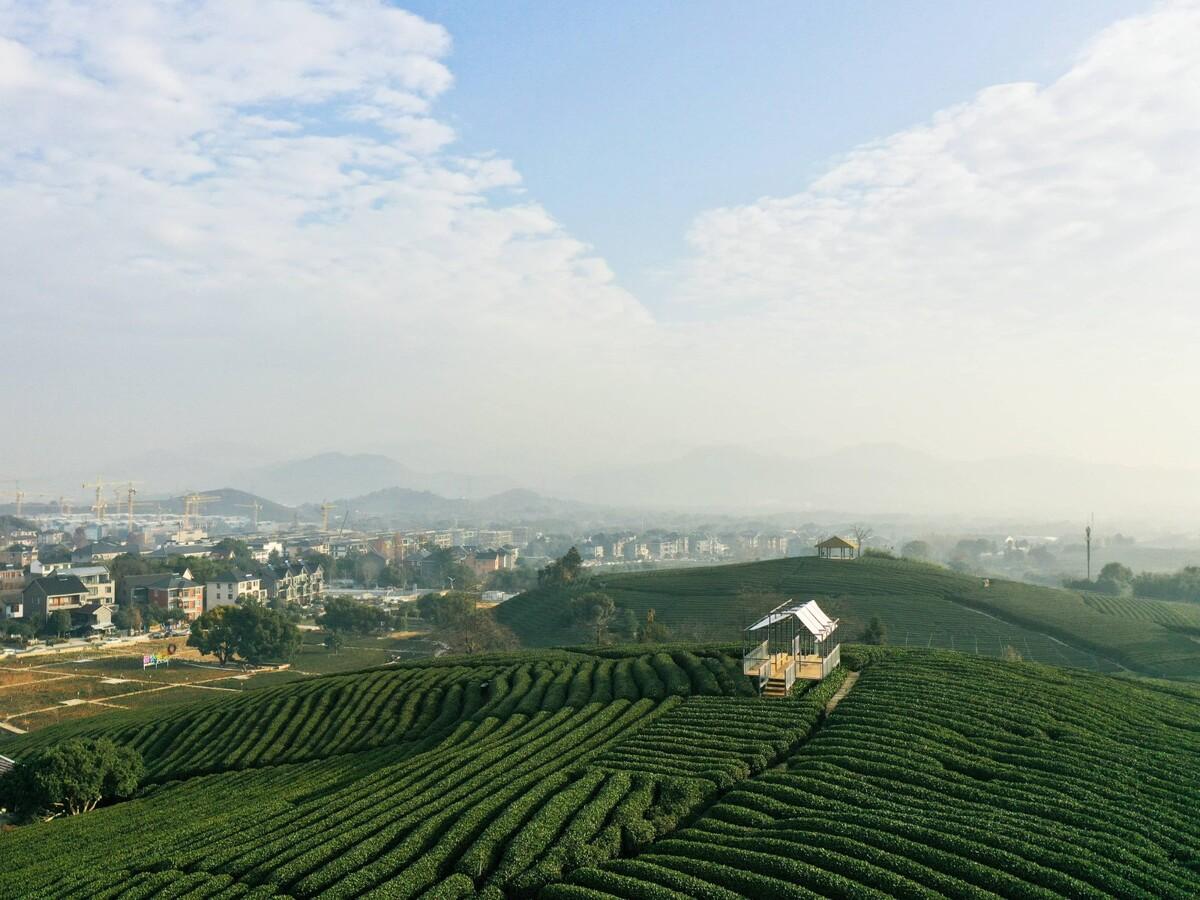长埭村艺术乡建系列-茶山浮亭 / 由牧建筑