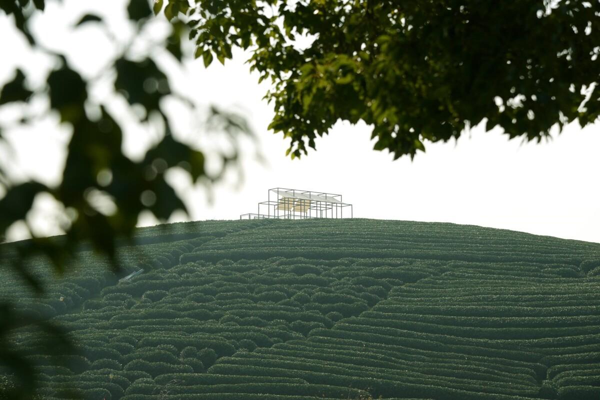 长埭村艺术乡建系列-茶山浮亭 / 由牧建筑