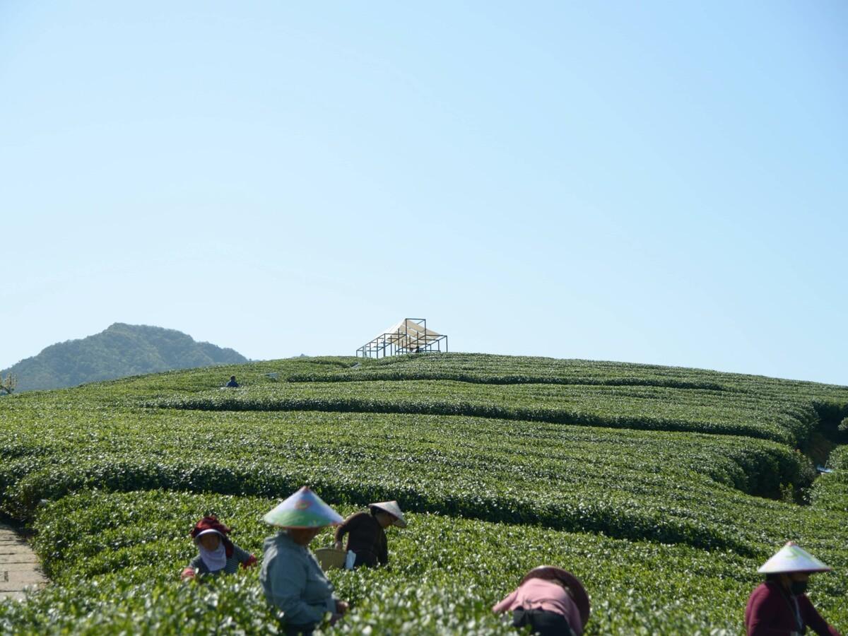 长埭村艺术乡建系列-茶山浮亭 / 由牧建筑