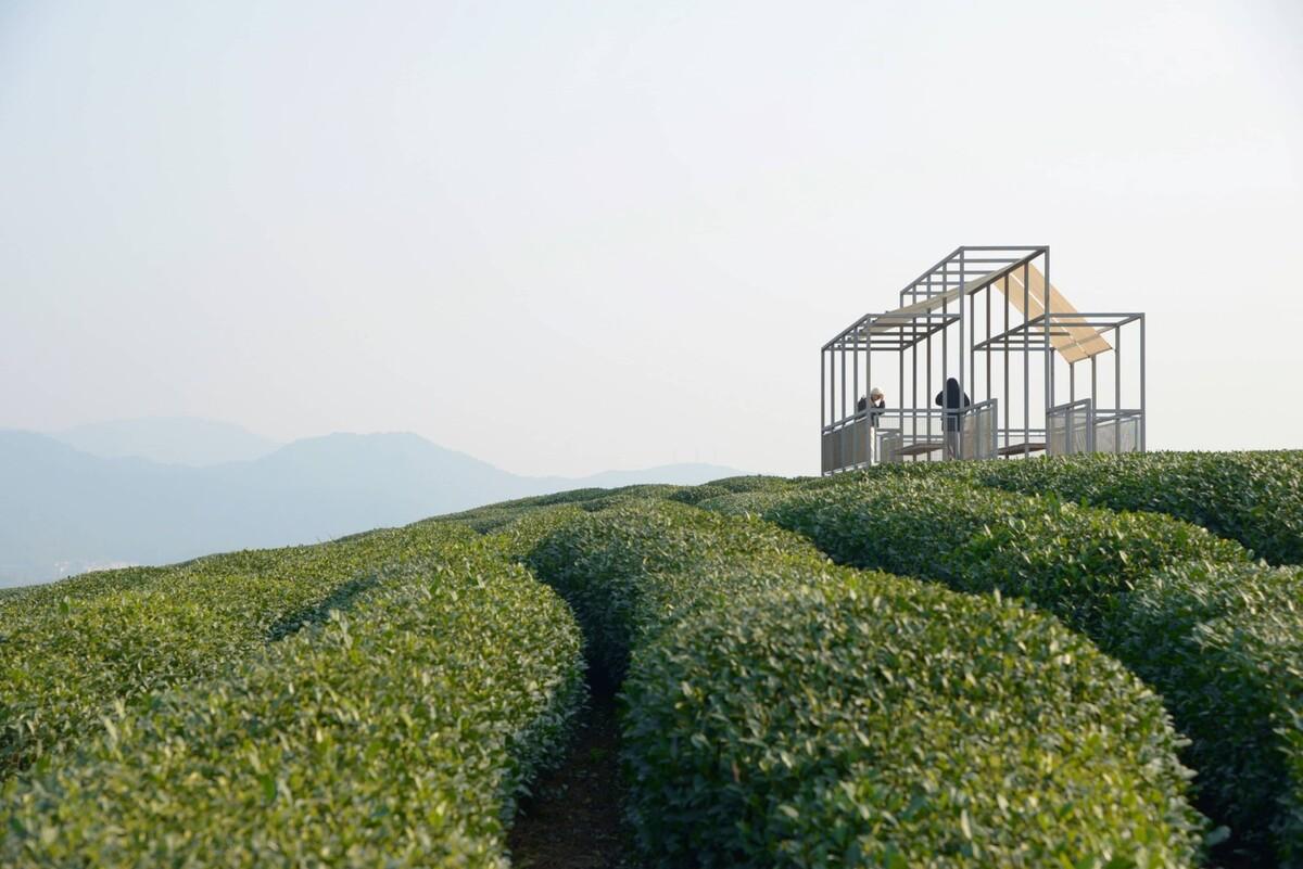长埭村艺术乡建系列-茶山浮亭 / 由牧建筑