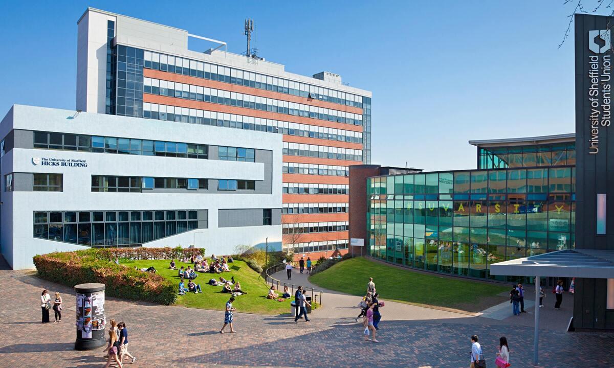 谢菲尔德大学