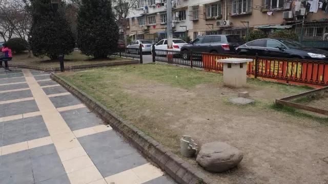 1499091057478155.jpg