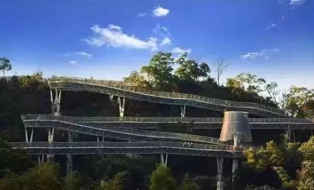 最长的城市森林步道在福州建成！你想象不到上帝视角下的它有多震撼！