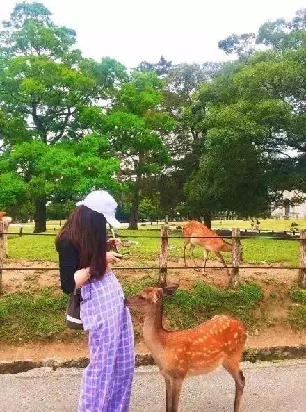 20170717_144225_050.jpg