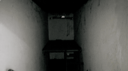 0 (6).gif
