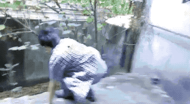 0 (12).gif