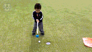 0.gif