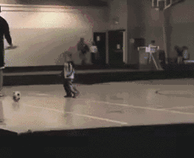0 (5).gif