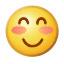 smiley_21.jpg