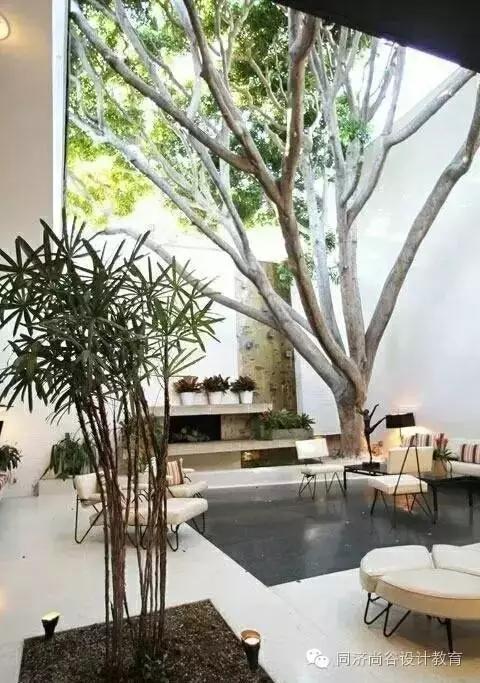 你的庭院空间够有趣么？