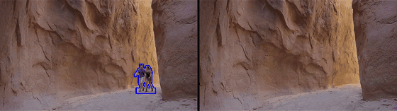0 (5).gif