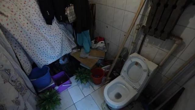 梦改设计师一改哈尔滨极寒小屋，20㎡坡顶小屋变身花园LOFT
