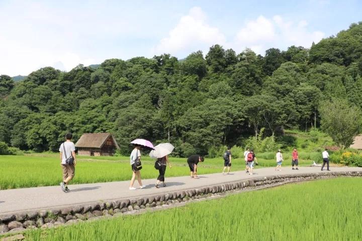 建筑狗如何无脑又优雅地在日本浪出花来？？