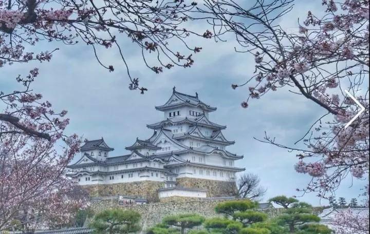 建筑狗如何无脑又优雅地在日本浪出花来？？