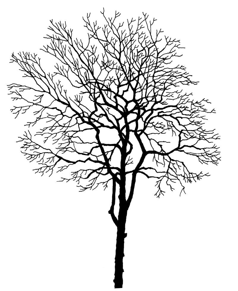 每日福利 / 冬日雪景怎么做？枯树少不了！