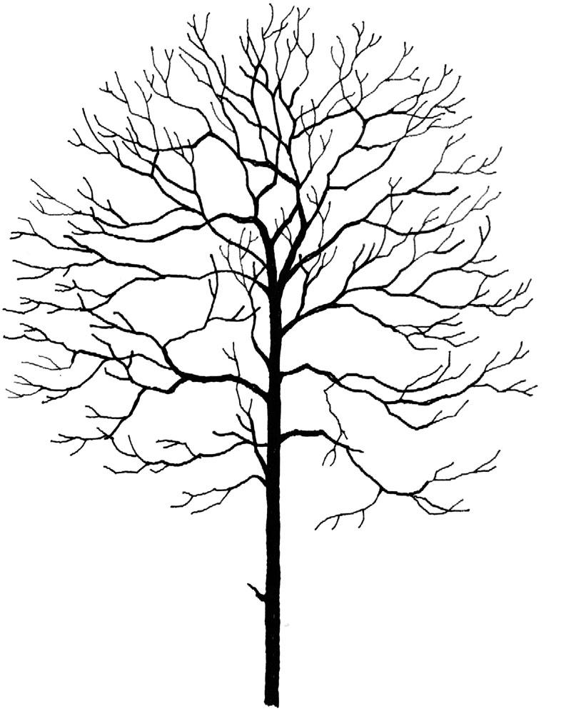 每日福利 / 冬日雪景怎么做？枯树少不了！