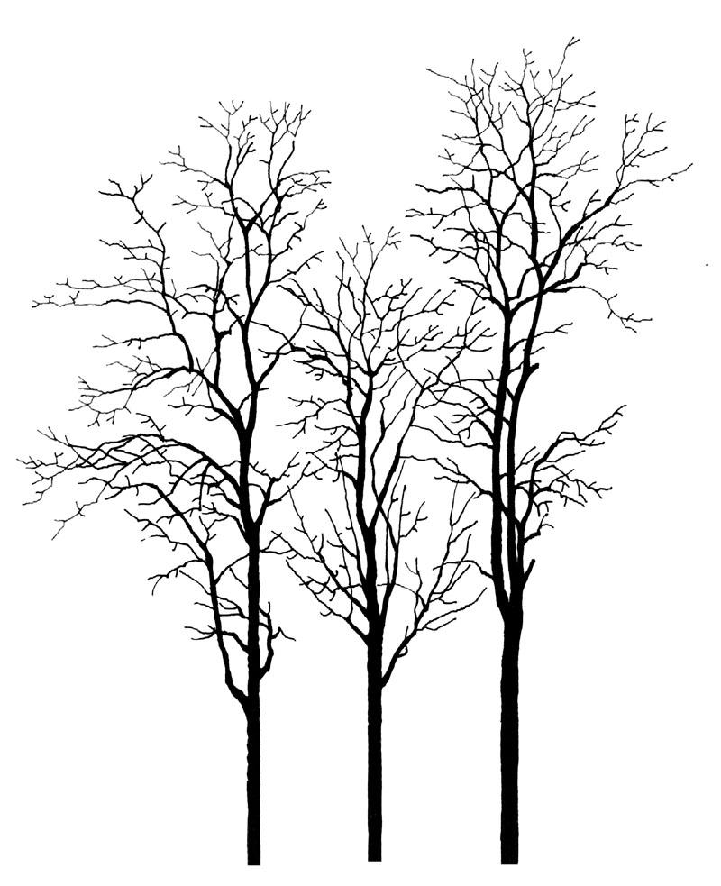 每日福利 / 冬日雪景怎么做？枯树少不了！