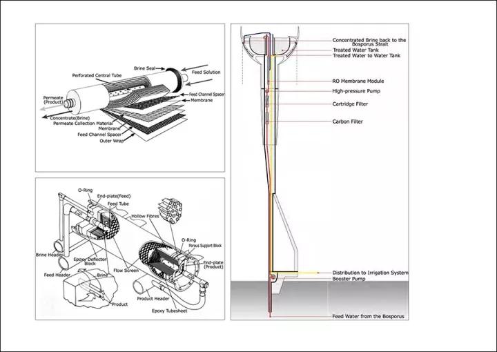 640.webp (36).jpg