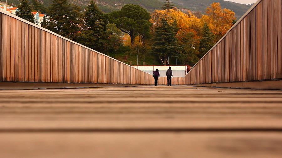 葡萄牙人行天桥，仅四点支柱连接220米宽峡谷 / JLCG Arquitectos