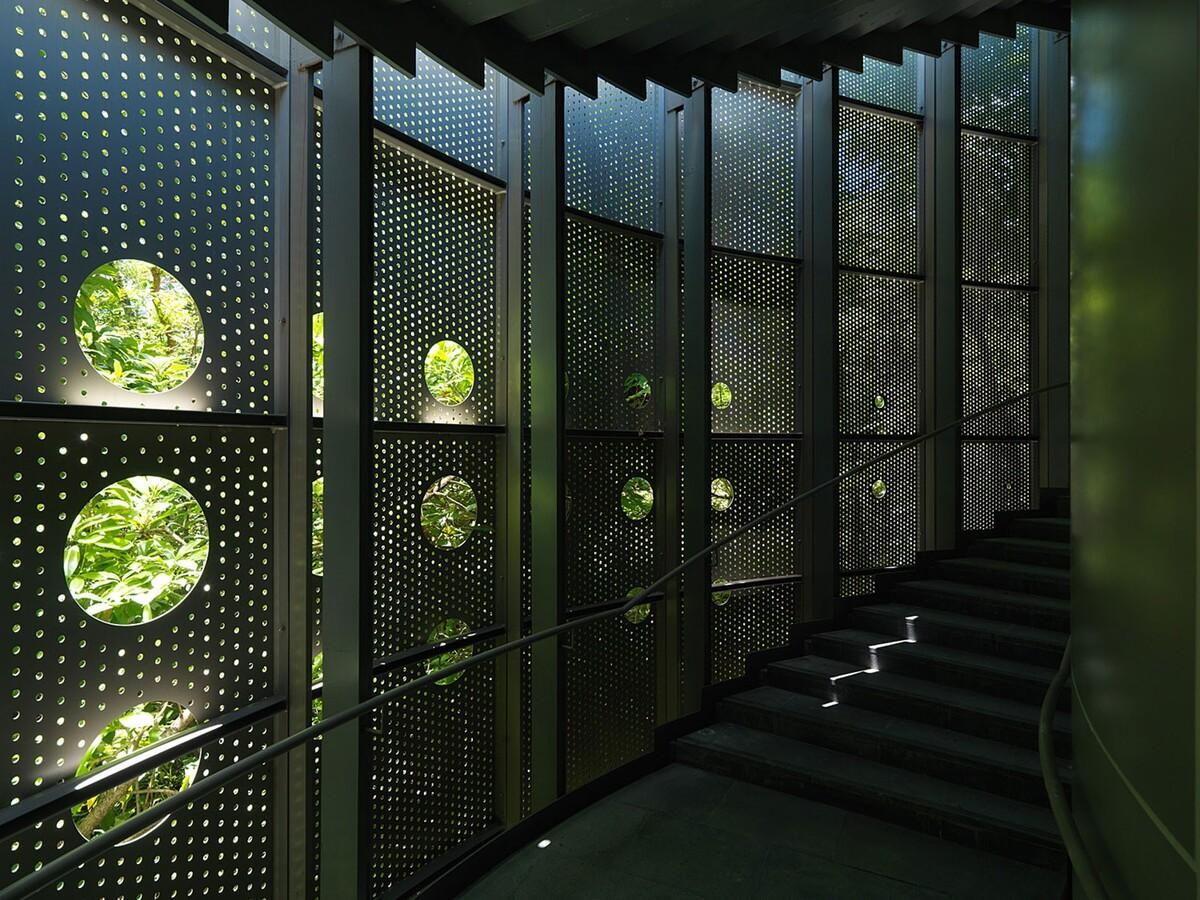 模糊建筑与自然的边界-台北生态时代展览馆