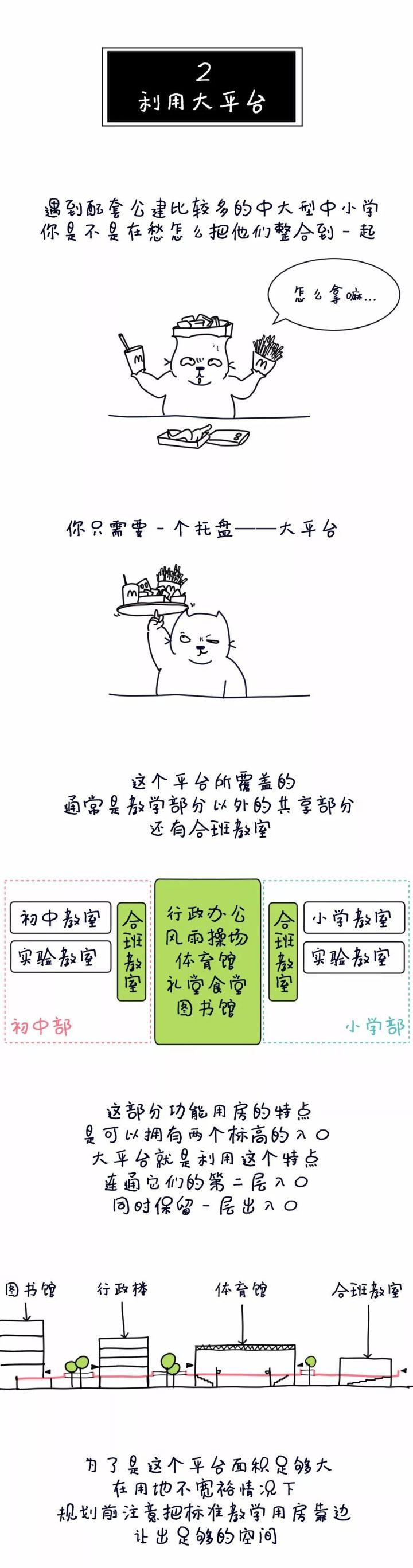 5个方案1只猫