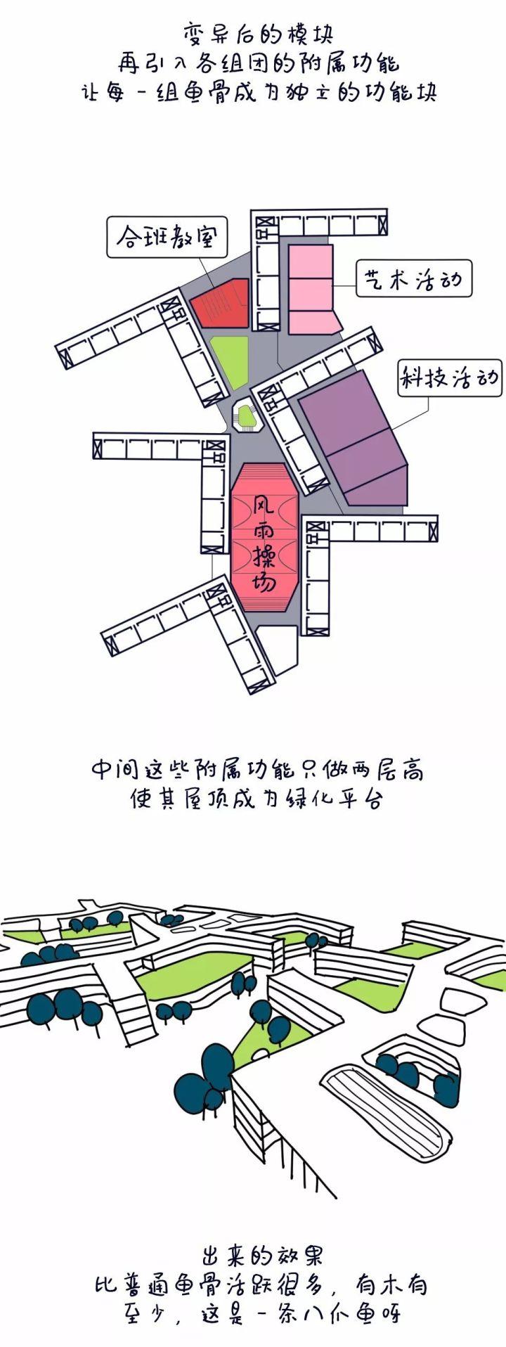 5个方案1只猫