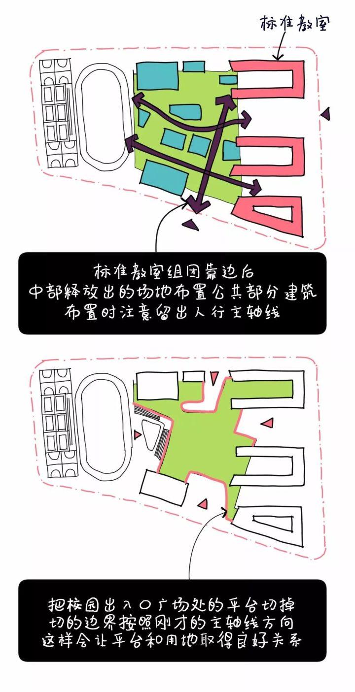 5个方案1只猫