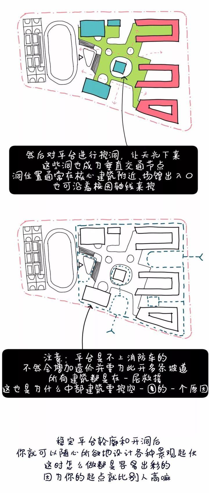 5个方案1只猫