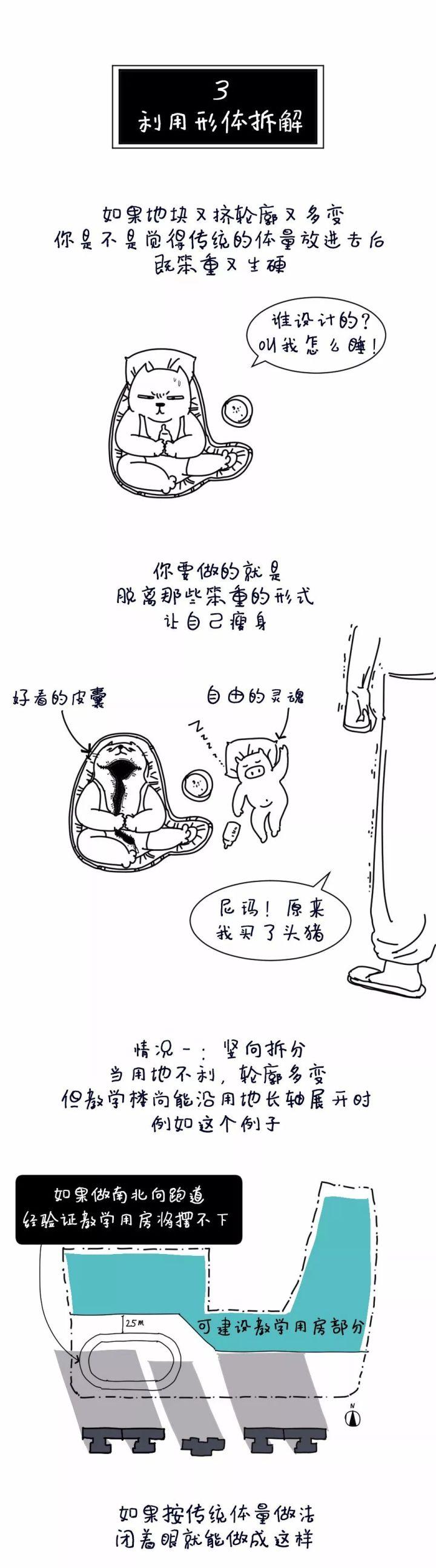 5个方案1只猫
