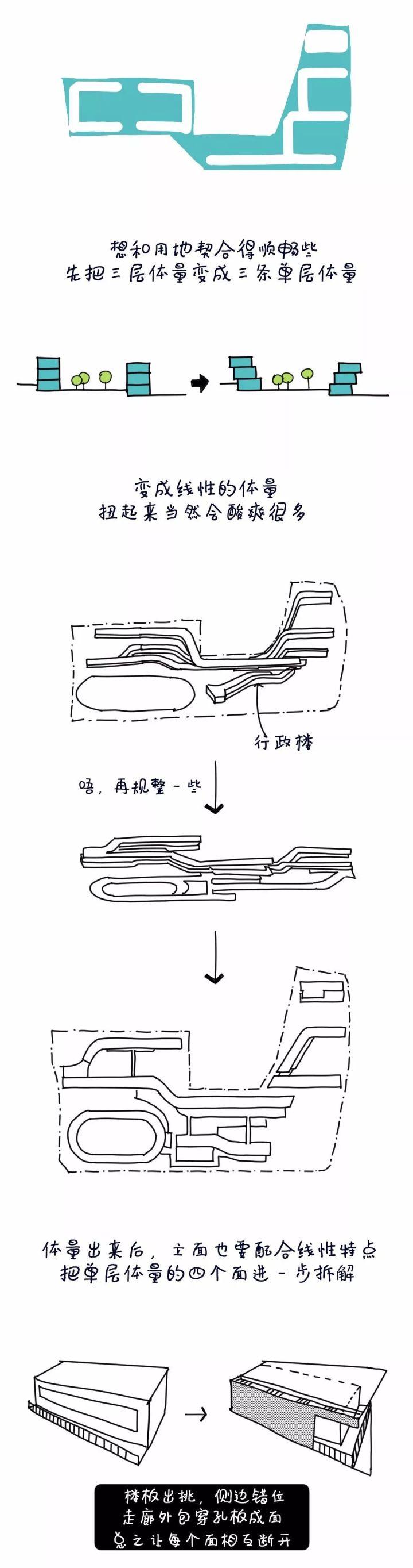 5个方案1只猫