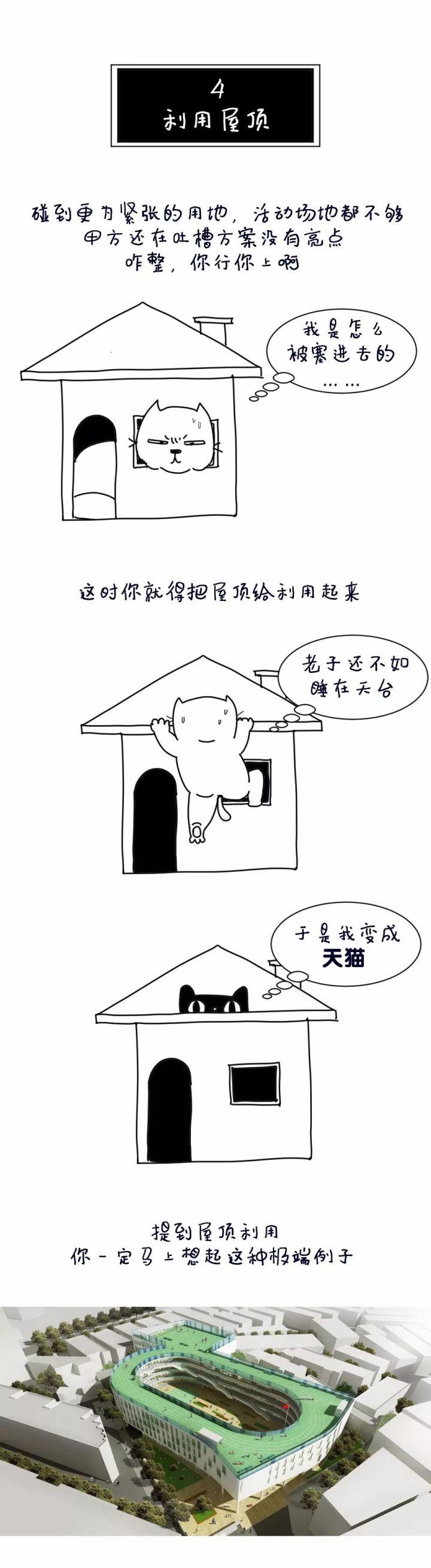 5个方案1只猫