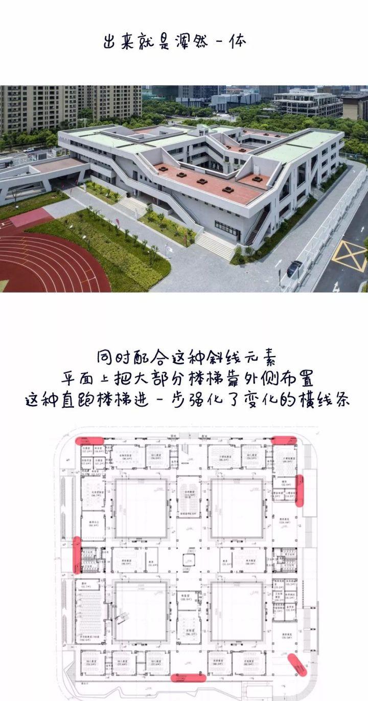 5个方案1只猫