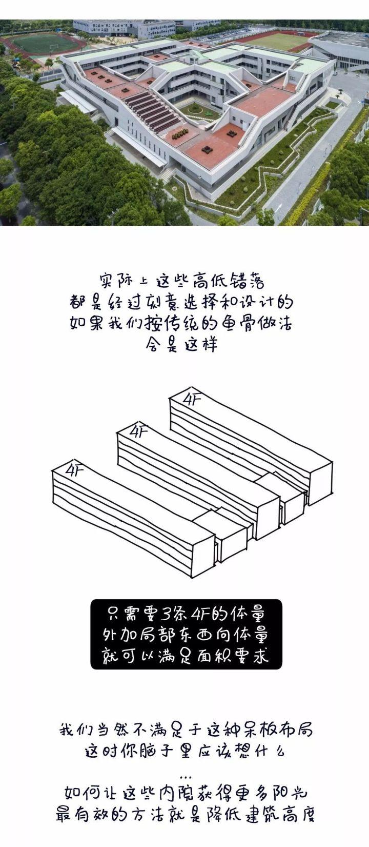 5个方案1只猫