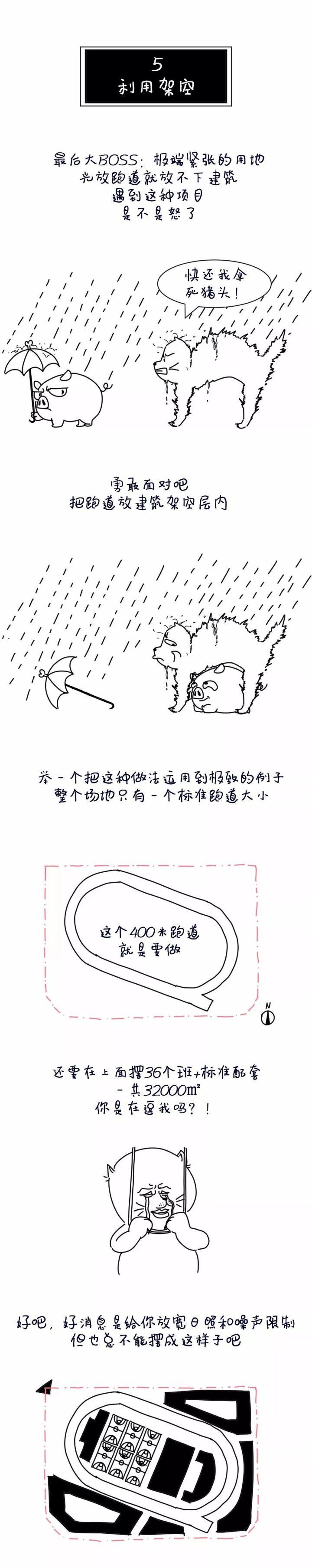 5个方案1只猫