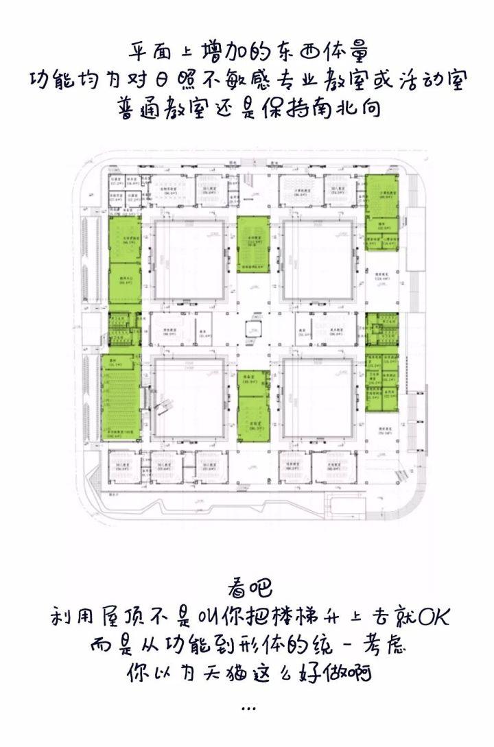 5个方案1只猫