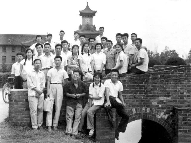 建筑师的大学几乎无处不在