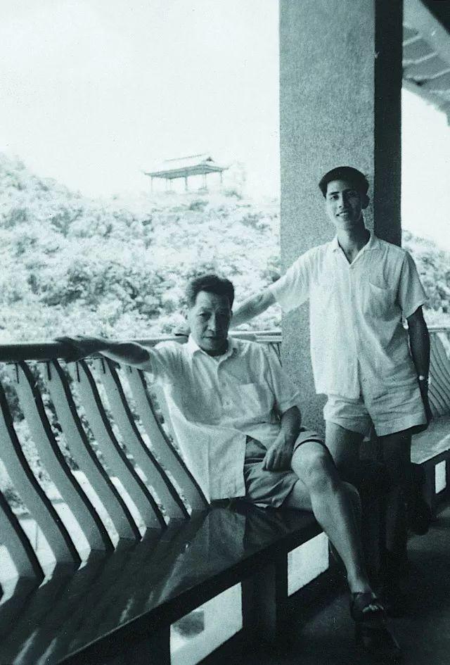 建筑师的大学几乎无处不在
