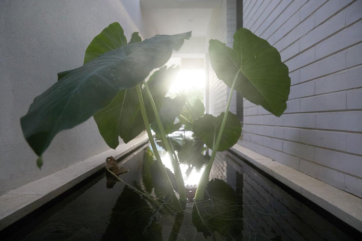 能源自给自足 — V字型生态住宅ECO360