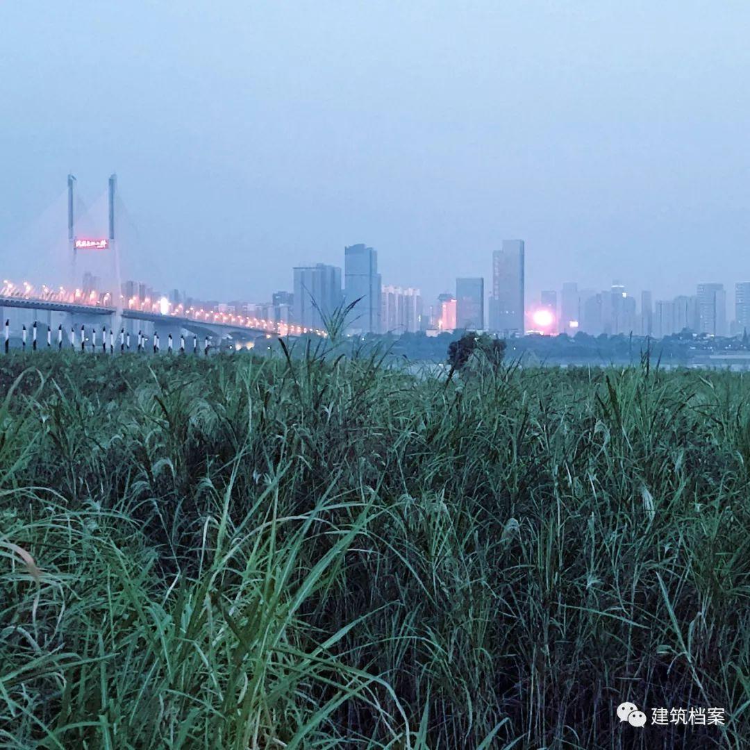 对话庄子玉 | 十二个建筑触点开始的一次对话
