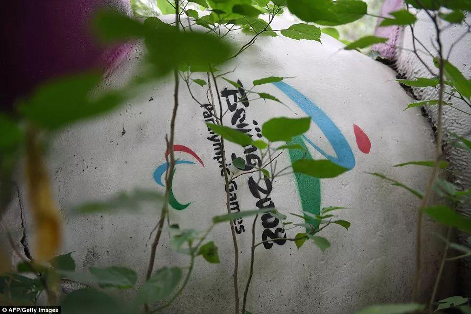 北京奥运会的比赛场地怎么都变成废墟了？