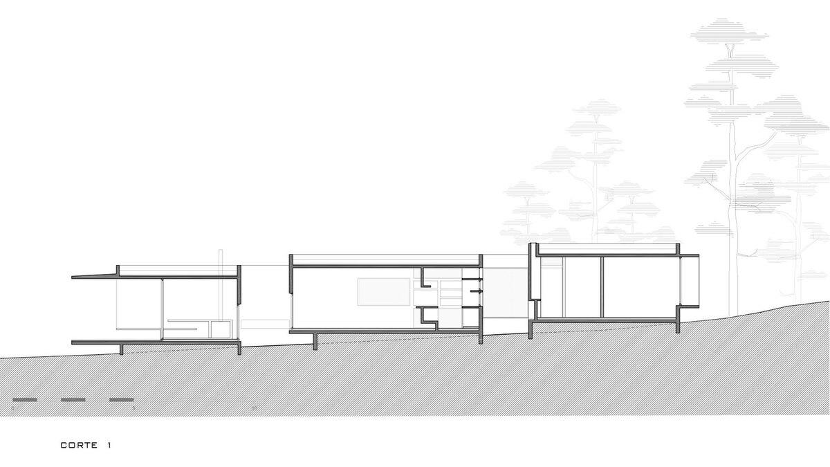 Casa-bosque-c1.jpg