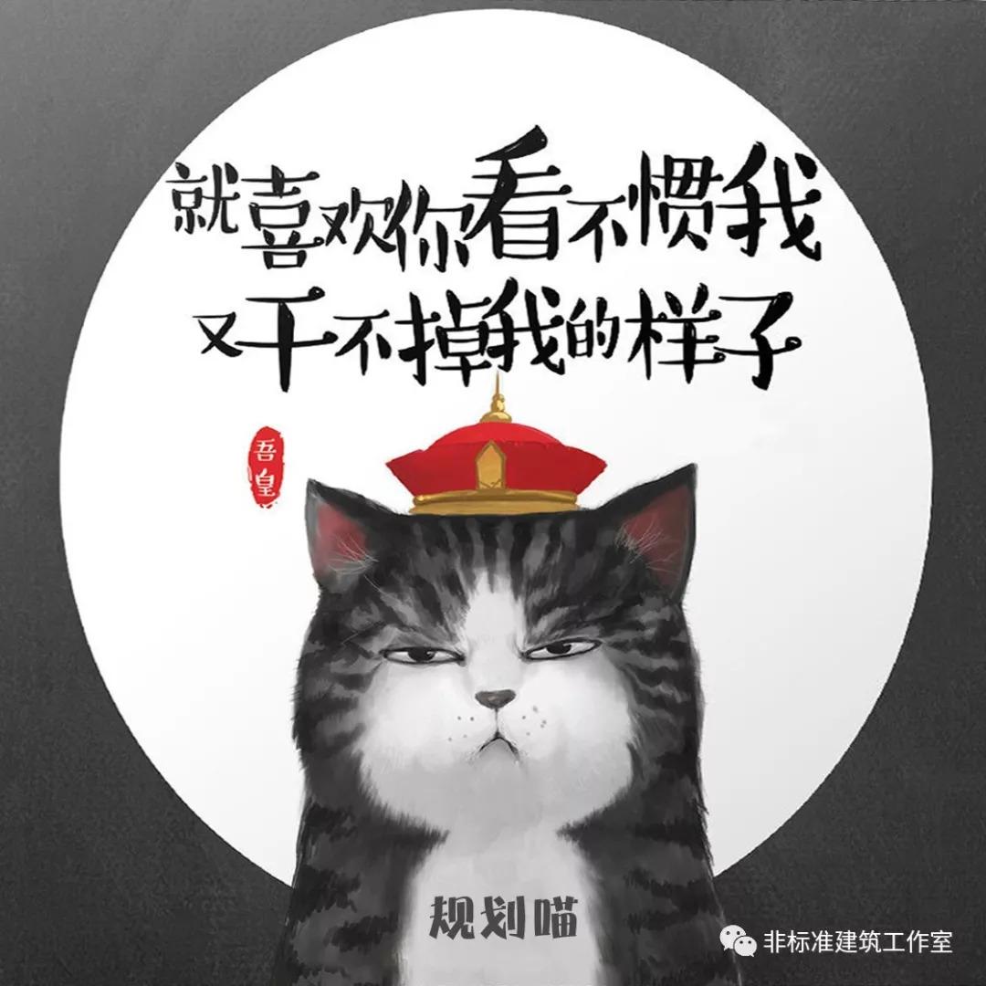 每次报规，轻微想死