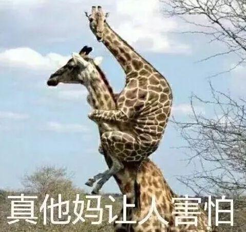别上班了媳妇，我做设计养你！